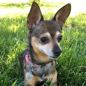 Meet your Posher, Michelle